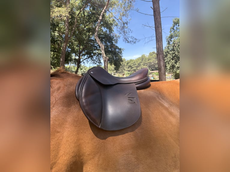 Selle CHILDÉRIC