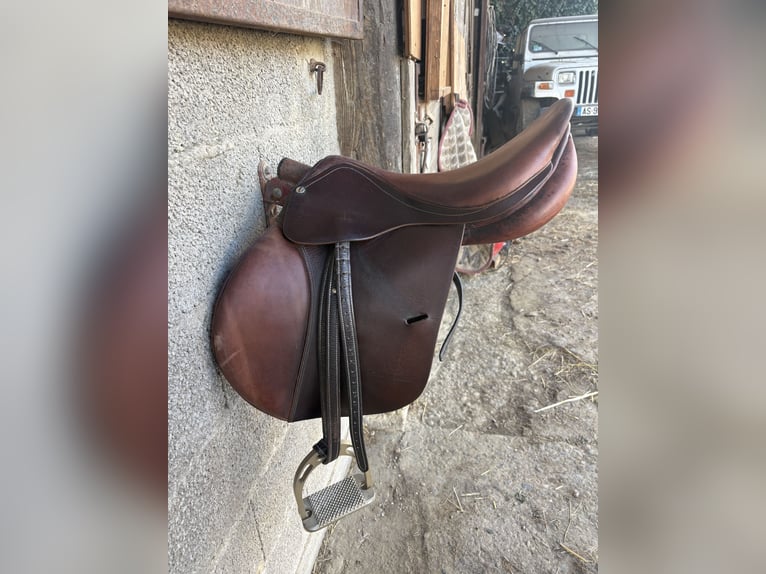 Selle coursay par forestier