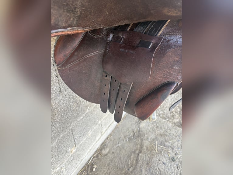 Selle coursay par forestier