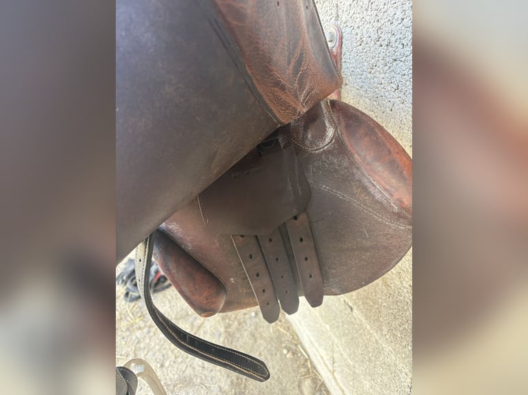 Selle coursay par forestier
