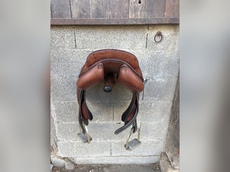 Selle coursay par forestier