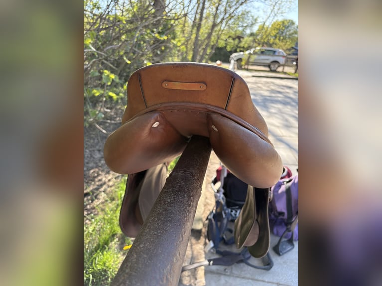 selle cwd