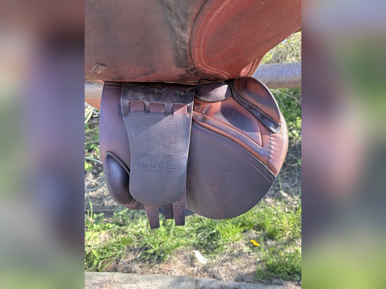 selle cwd