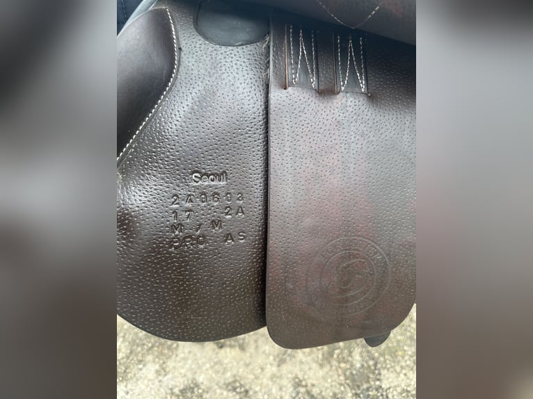 Selle forestier Séoul