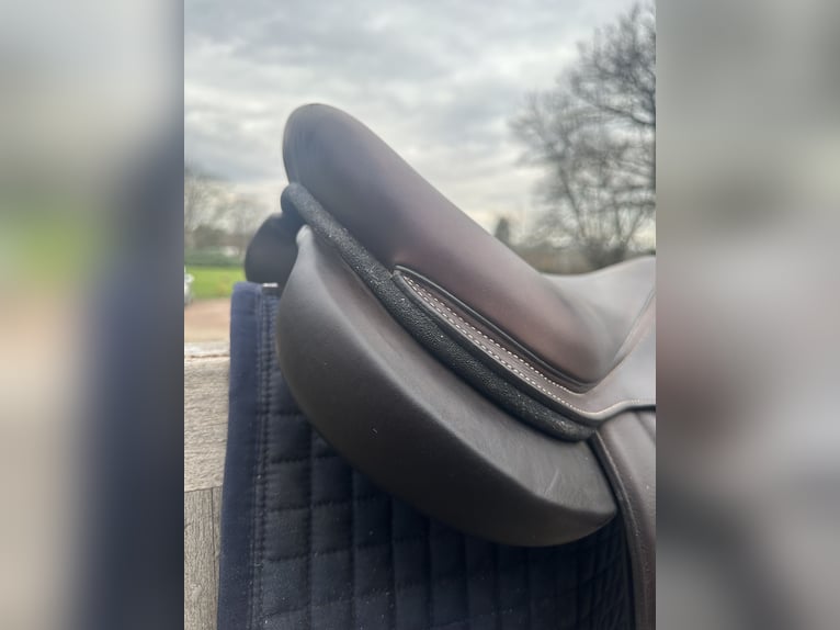 Selle forestier Séoul