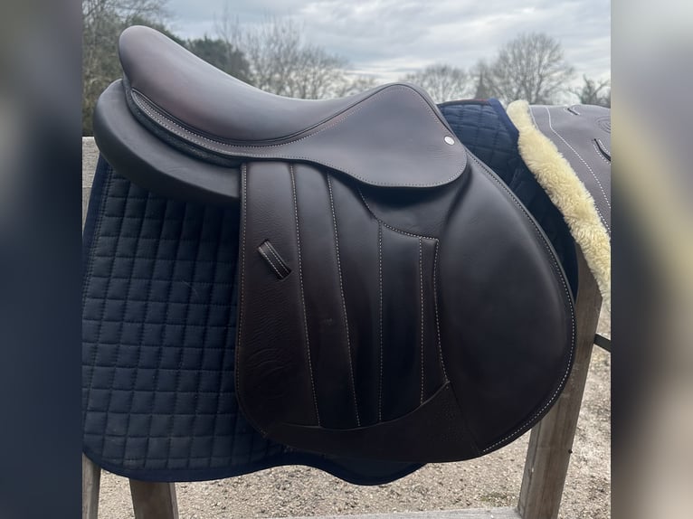 Selle forestier Séoul