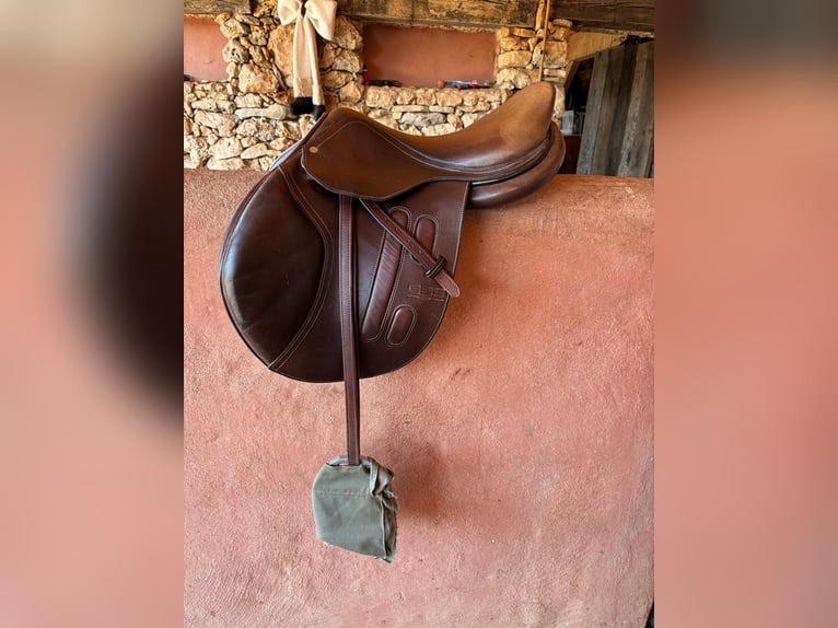Selle GBS