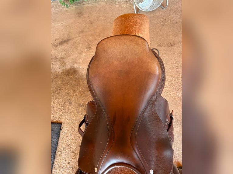 Selle GBS