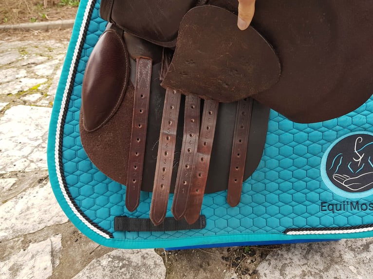 Selle mixte 17’ Loxley