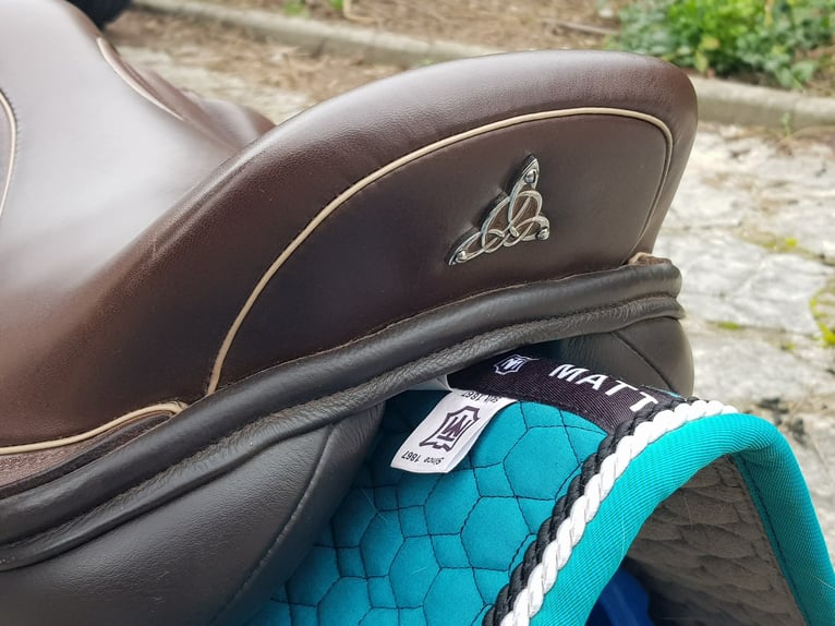 Selle mixte 17’ Loxley
