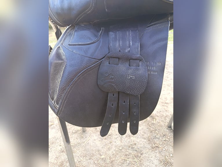 Selle mixte
