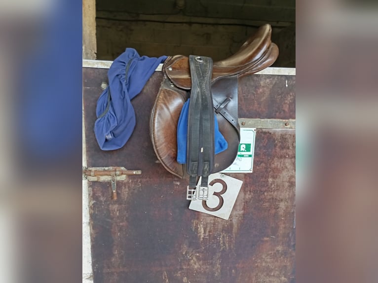 Selle mixte
