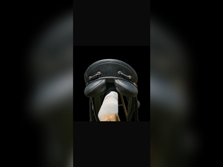 selle mixte wintec 200 état excellent petit prix TAILLE 17,5