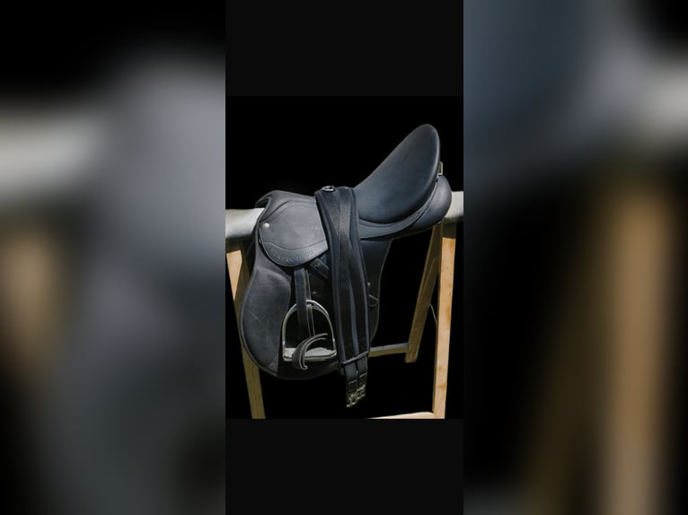 selle mixte wintec 200 état excellent petit prix TAILLE 17,5