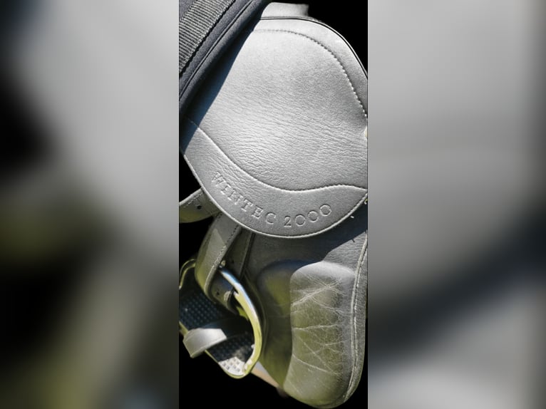 selle mixte wintec 200 état excellent petit prix TAILLE 17,5