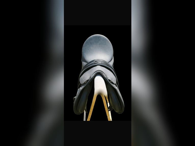 selle mixte wintec 200 état excellent petit prix TAILLE 17,5