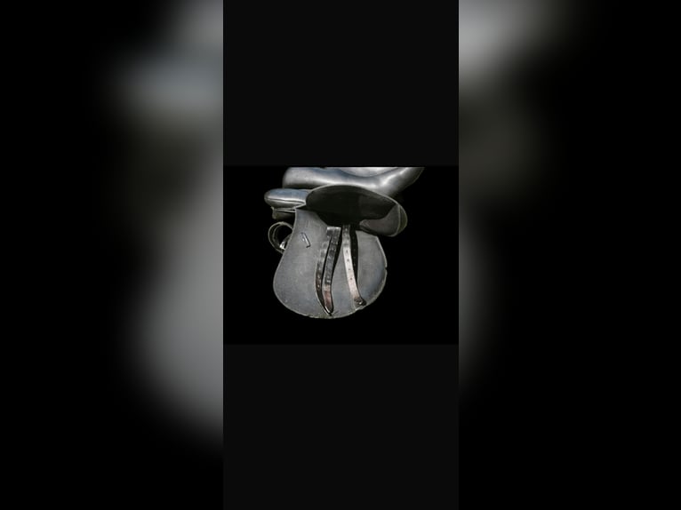 selle mixte wintec 200 état excellent petit prix TAILLE 17,5