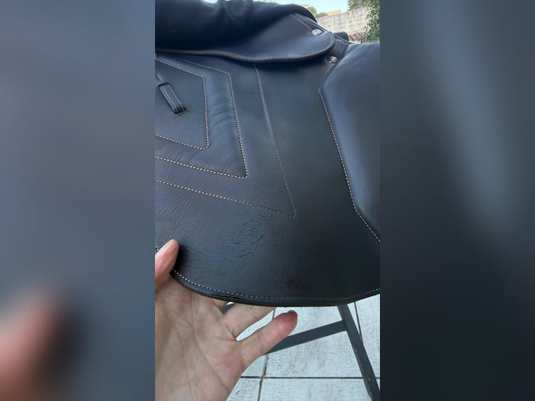 Selle Renaissance - Excellent état