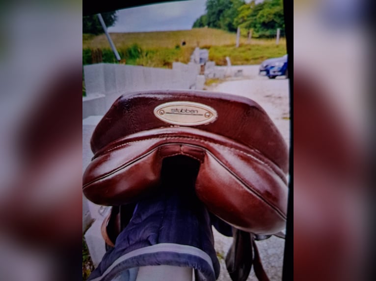 Selle STUBBEN edelweiss NT mixte