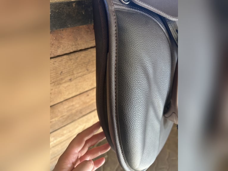 WINTEC mixte marron 17 pouces