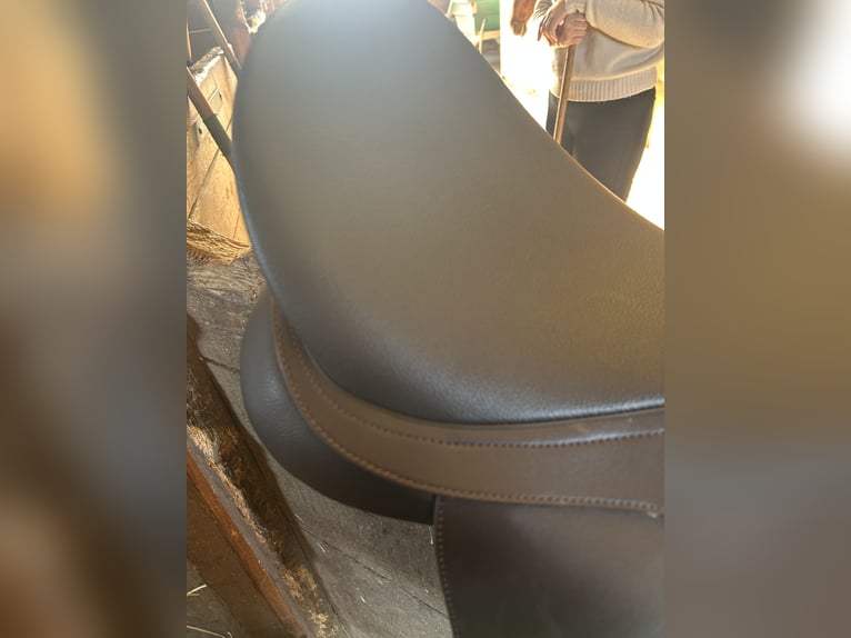 WINTEC mixte marron 17 pouces