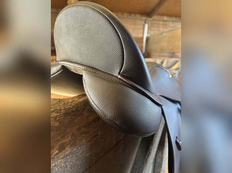 WINTEC mixte marron 17 pouces