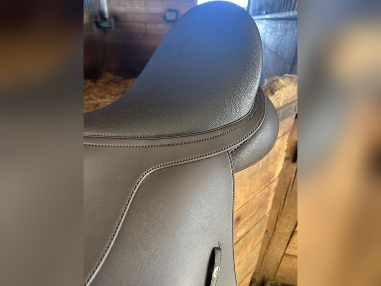 WINTEC mixte marron 17 pouces