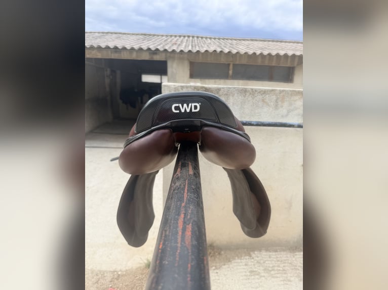 À vendre selle CWD 2Gs SE25