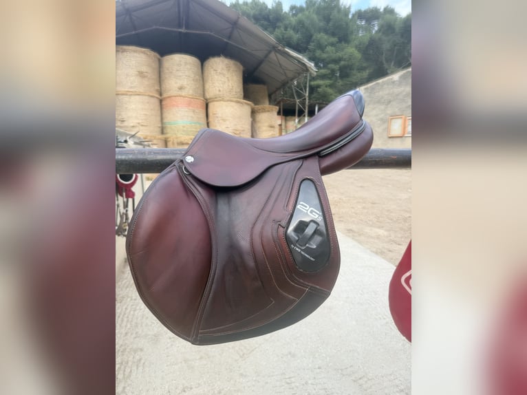 À vendre selle CWD 2Gs SE25