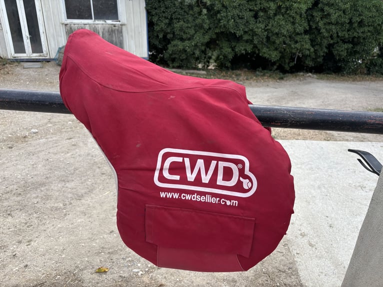 À vendre selle CWD 2Gs SE25
