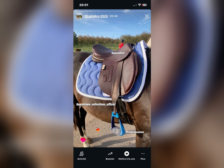 À vendre, selle peu utilisée