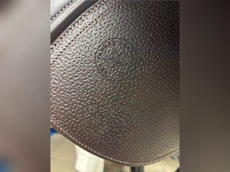 CWD mademoiselle 2GSsport