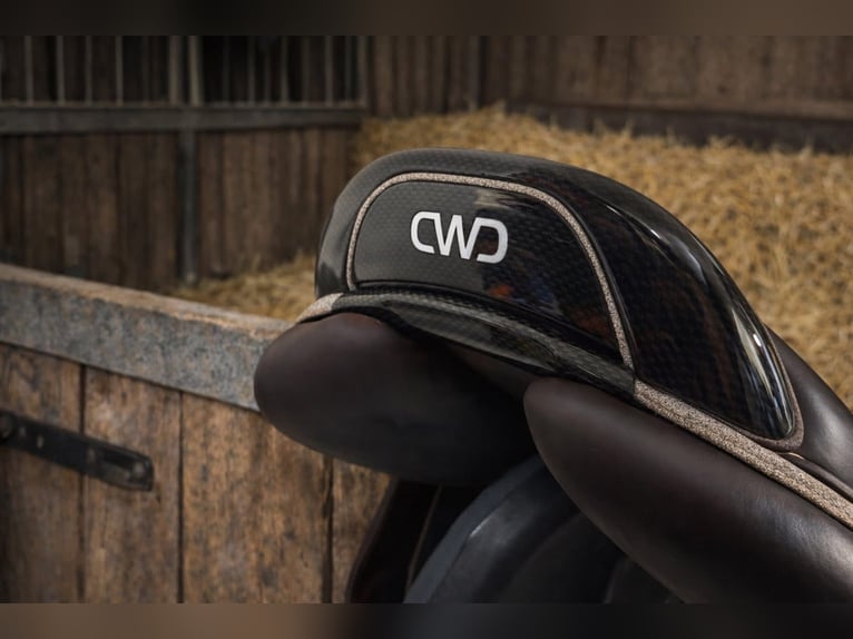 CWD mademoiselle 2GSsport