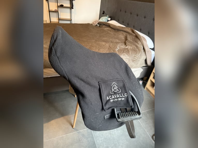 Selle Acavallo Guttuso Modigliani