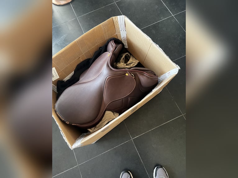 Selle Acavallo Guttuso Modigliani