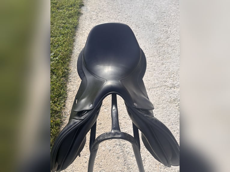 Selle Antares 