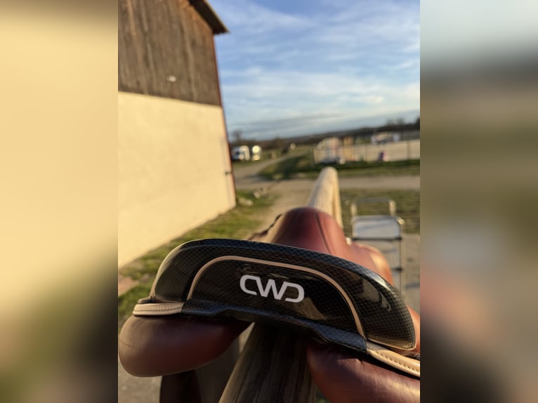 Selle cwd 2GS