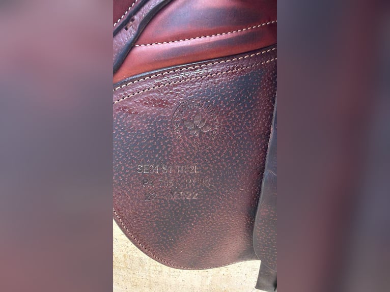 selle CWD 2gs mademoiselle 17 2L