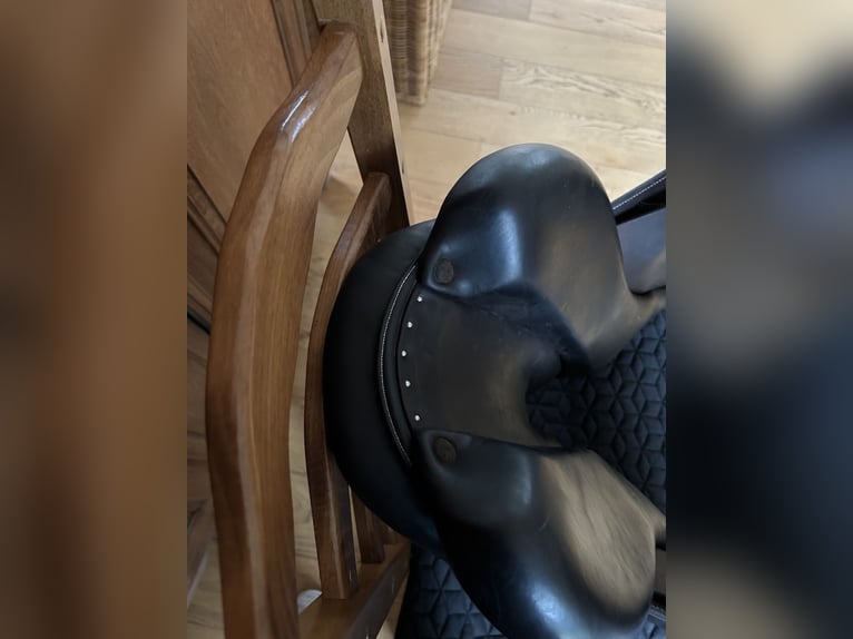 Selle Forestier Séoul 17 pouces