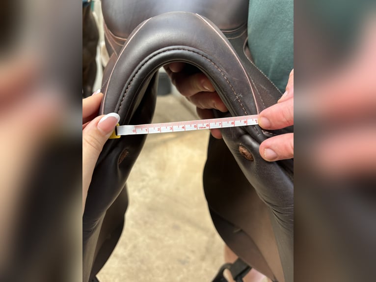 Selle jump’in premium havane