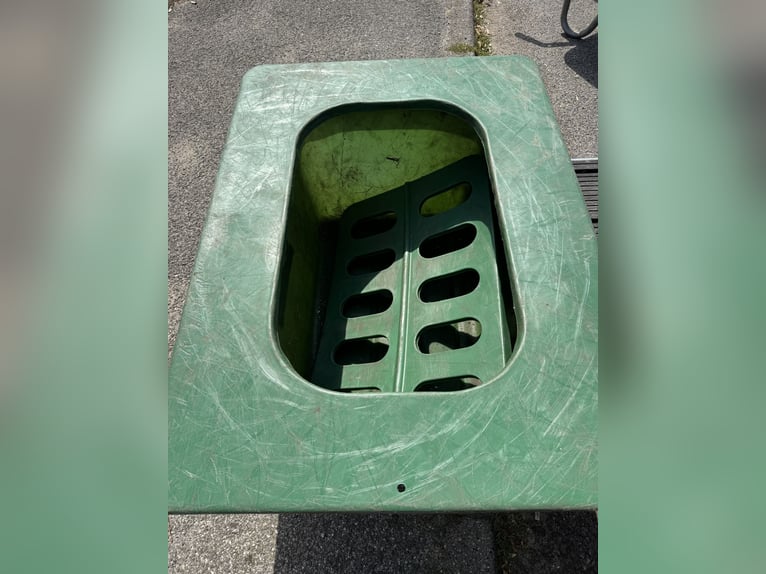 Abreuvoir pour paddock et pâturage