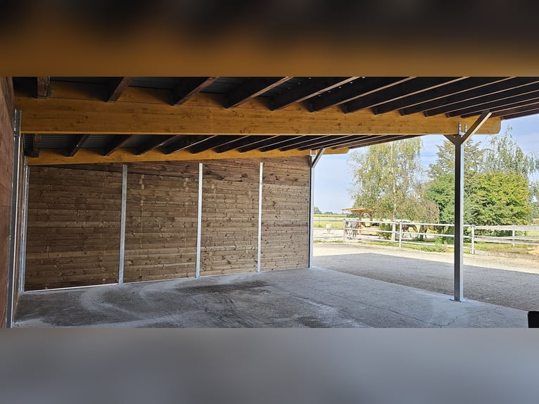 Abri de pâture et box extérieur à vendre, abri pour chevaux | Abri de pâture idéal pour vos chevaux