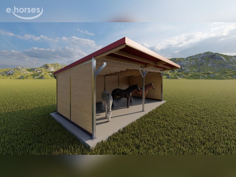 Acheter une stabulation libre pour chevaux – construire une écurie ouverte, trouver un abri de pâtur