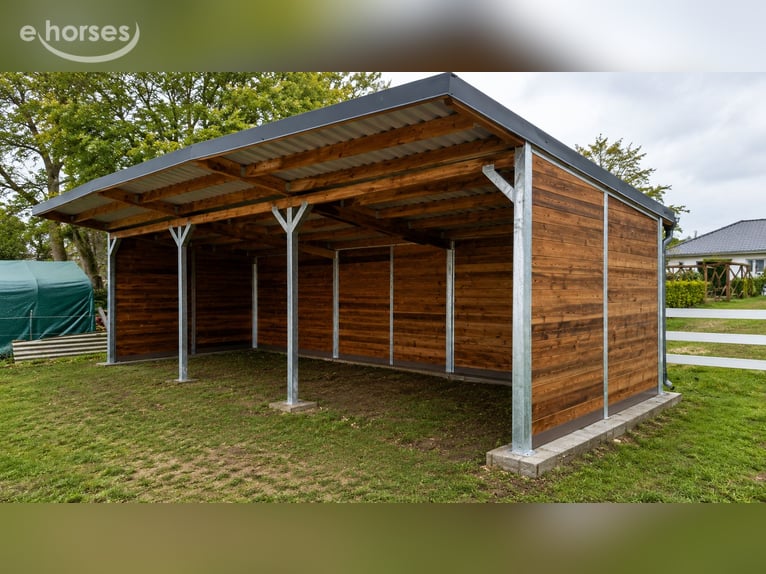 Acheter une stabulation libre pour chevaux – construire une écurie ouverte, trouver un abri de pâtur
