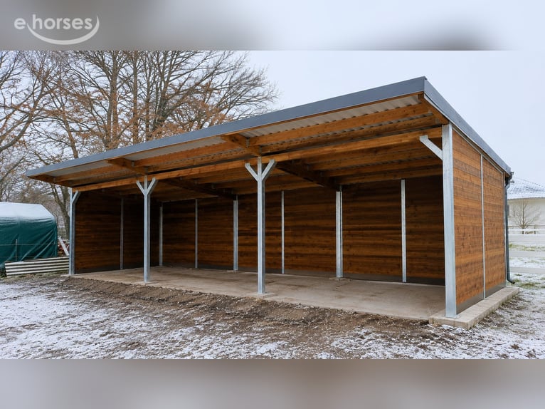 Acheter une stabulation libre pour chevaux – construire une écurie ouverte, trouver un abri de pâtur