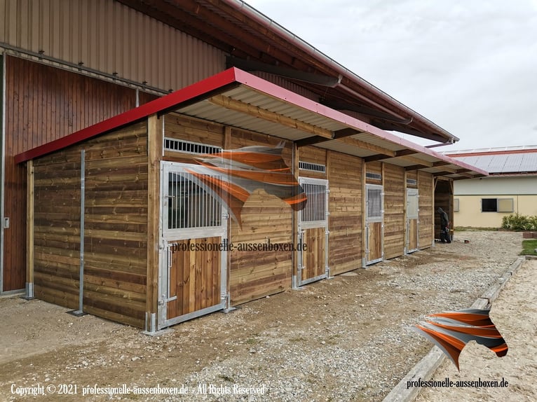 Boxes pour chevaux : écurie, box extérieur et box pour chevaux, paddock avec abri, abri pour pâturag