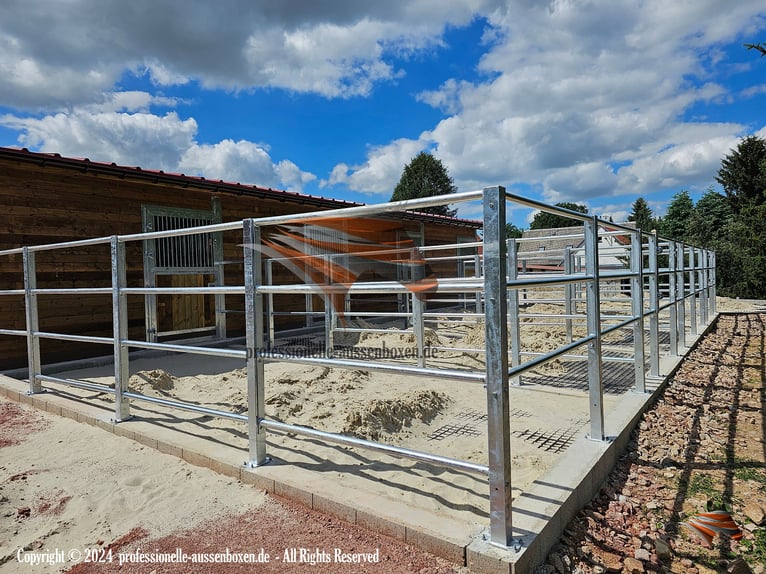 Boxes pour chevaux : écurie, box extérieur et box pour chevaux, paddock avec abri, abri pour pâturag