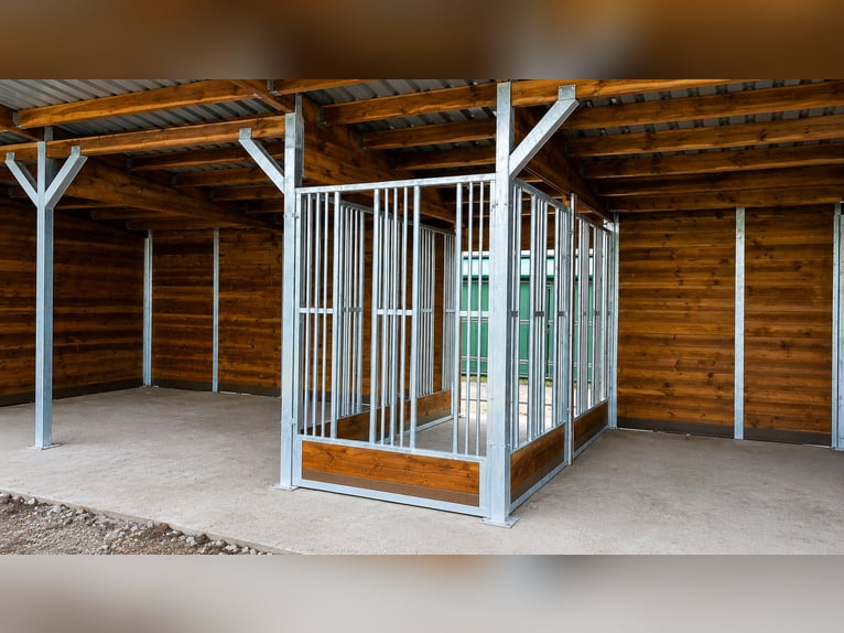 Construction de boxes et stabulation | Écuries extérieures et boxes pour chevaux – Paddock d’écurie 