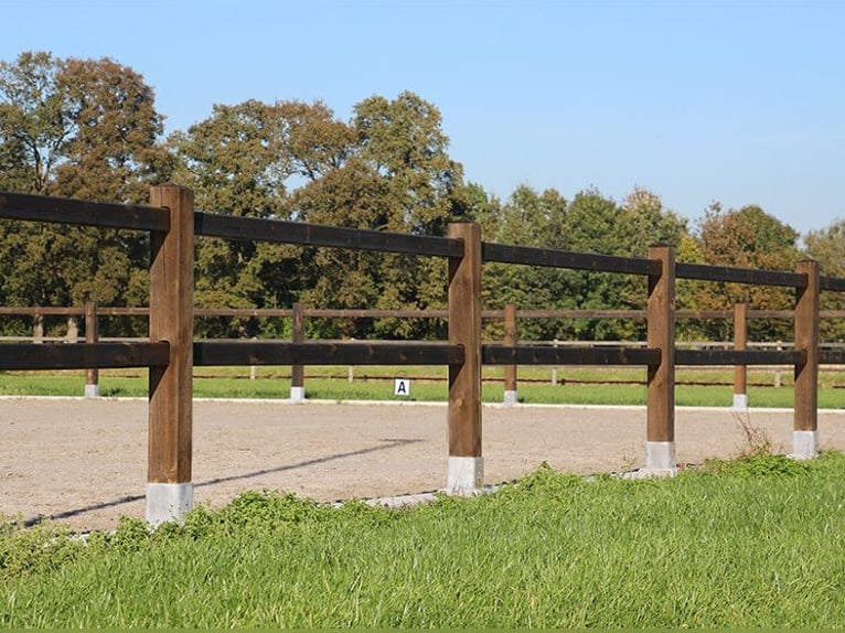 EN STOCK ! Clôture pour jardin | Clôture en bois | Barrière en bois