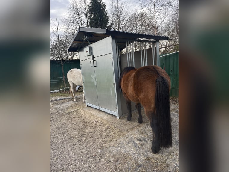 INNOVATIVE FUTTERMACHINE aus Finnland 